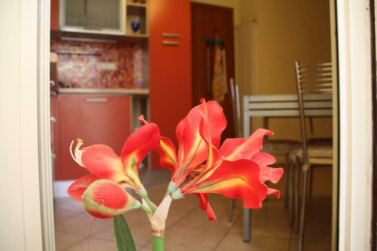 Pisa Town Bed & Breakfast Exterior photo