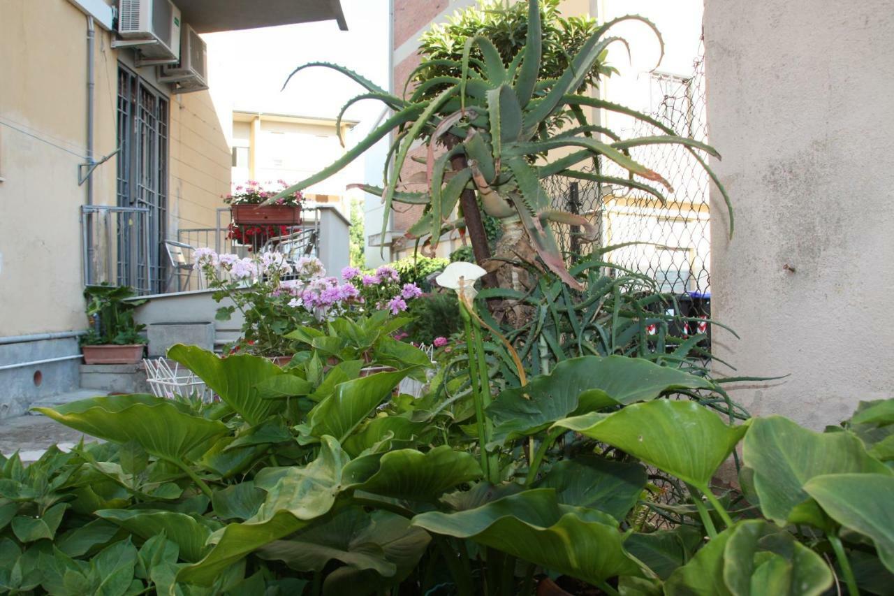 Pisa Town Bed & Breakfast Exterior photo