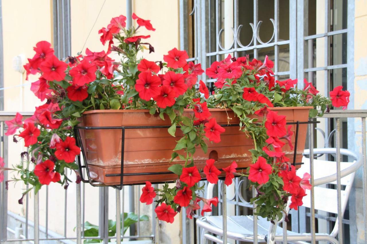 Pisa Town Bed & Breakfast Exterior photo
